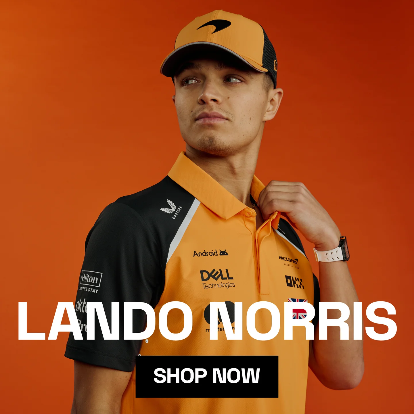 Lando 6d58b229 aca8 400a 94fc 5c5e198a8e18