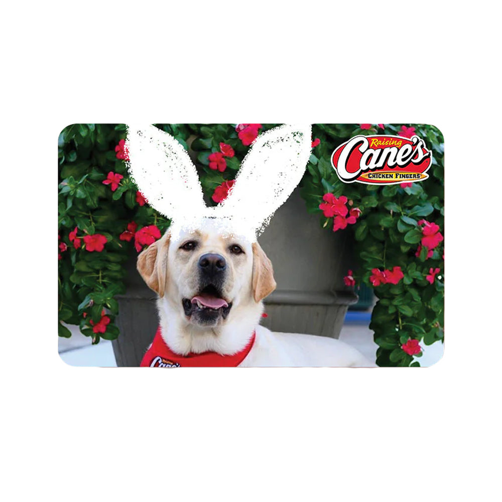 The Basket Stuffer Gift Card