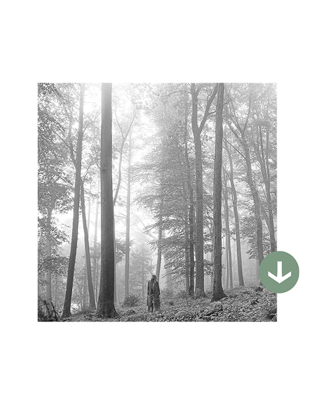 folklore Digital Deluxe Album